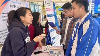 Über 1.000 junge Menschen in Hai Phong nahmen an der Berufsberatung und Jobmesse teil.
