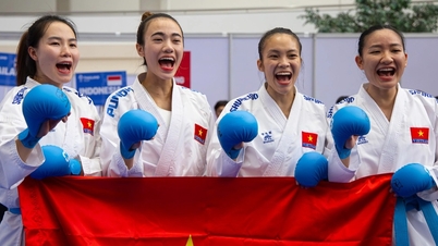 부상당한 언니를 대신해 출전한 이 여성 무술가는 제33회 동남아시아 경기대회 가라테 종목에서 금메달을 획득했다.