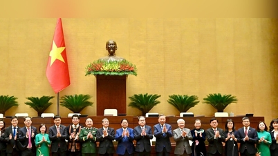 ২০২৫ সালে এনঘে আন প্রদেশের জাতীয় পরিষদের প্রতিনিধিদল: দৃঢ় সংকল্প, দায়িত্ব পালন এবং জনগণের কাছাকাছি।