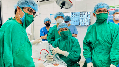 研修医と専門医の違いは何ですか?