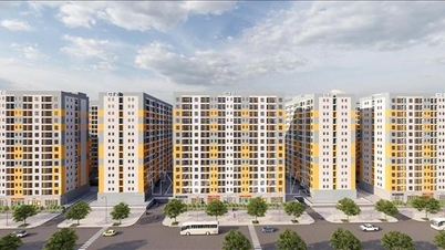 19 Aralık itibarıyla, büyük inşaat sahasında Hai Phong'da 13 proje başlama ve açılış için hazır durumda.