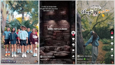 «Духовное спокойствие — это всё, что имеет значение»: глоток свежего воздуха в жизненной философии поколения Z.