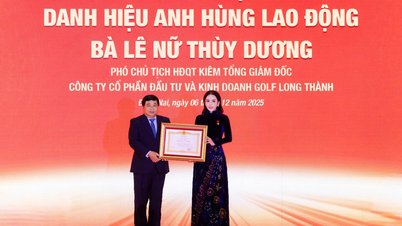 Le Nu Thuy Duong asszonyt, a KN Holdings Group alelnökét a Munka Hőse címmel tüntették ki.