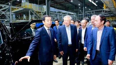 Visestatsminister Nguyen Hoa Binh besøker og jobber i Hai Phong.