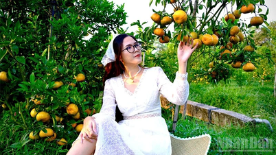 Pink tangerines are at their most beautiful season, and the shop is open to welcome visitors.