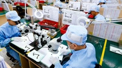 چشم‌انداز سرمایه‌گذاری مستقیم خارجی: صنایع فرآوری و تولید، سرمایه‌گذاری خارجی را هدایت می‌کنند.