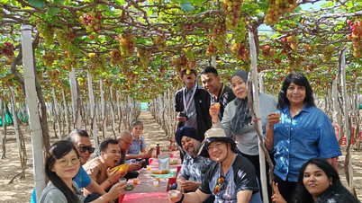Delegasi familiarisasi pariwisata Malaysia mencari peluang kerja sama dengan pelaku bisnis pariwisata di Khanh Hoa.