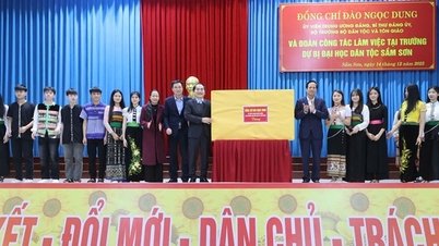 Modellen för förberedande universitet för etniska minoriteter behöver förbättras ytterligare.