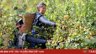 צמיחה כלכלית חייבת ללכת יד ביד עם קידמה חברתית ושוויון.