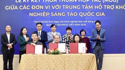 Innovative entrepreneurship in the green and sustainable economy.