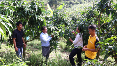 Κοινότητα Cam Hiep: Προώθηση του ρόλου των αρχηγών των χωριών και των προσωπικοτήτων με επιρροή μεταξύ των κοινοτήτων εθνοτικών μειονοτήτων.