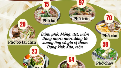 Variations of pho and vermicelli noodles made it into the Top 100 best noodle dishes in the world.