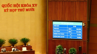 أصبحت الملكية الفكرية أصلاً: إنجازٌ هام بعد إقرار القانون الجديد.