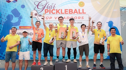 Организация турнира по пиклболу для выпускников Технологического университета, собравшего талантливых игроков.