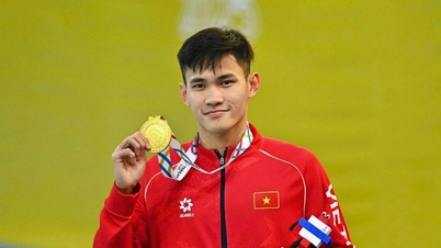 Después de una dramática victoria sobre el nadador singapurense Pham Thanh Bao, este último reveló un detalle inesperado.