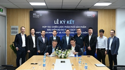 기술 뉴스 12월 14일: VNPT 사이버 면책 – BIC, 거래 보험 출시