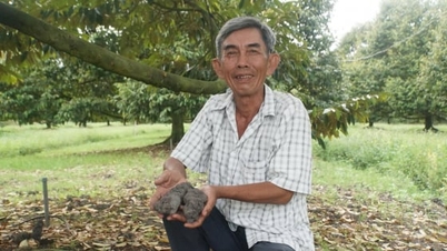 Rămânând în frunte: [Partea a 3-a] Secretele creării de bogăție de către fermierii de succes