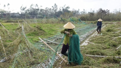 Banyak dasar sedang dilaksanakan untuk membantu petani menyambung semula pengeluaran selepas ribut dan banjir.