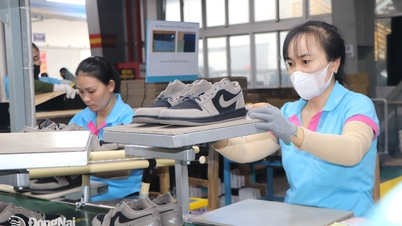 Poziționarea Dong Nai pe harta investițiilor străine directe din Vietnam (Partea 1)