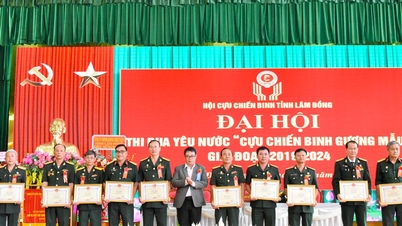 জাতীয় পুনরুত্থানের যুগে প্রবীণরা