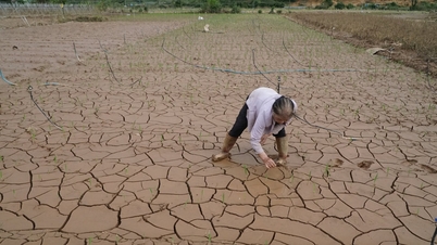 Mulțumesc, Hiep Thanh, că te-ai „agățat” de sezonul florilor de primăvară.