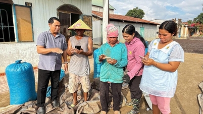 Att föra digital teknik närmare etniska minoritetsgrupper.