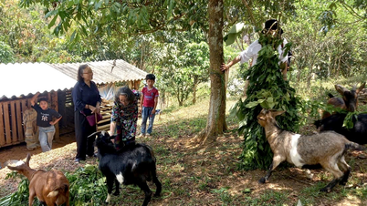 Médico do Povo Nguyen Kim Nu Hieu - Brilhando com as Qualidades de um Soldado do Tio Ho - Parte 2: Semeando Sementes de Esperança na Fronteira (continuação e conclusão)