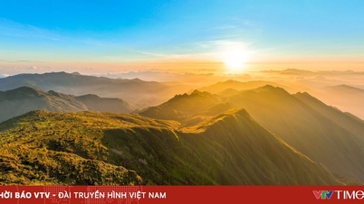 Trendy na rynku turystycznym pod koniec roku.