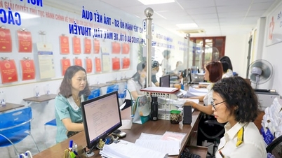State budget revenue in Hanoi:
