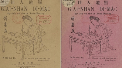 ستارگان ویتنام: «صدای شاعرانه» بازیگر بااستعداد شوان هوئونگ