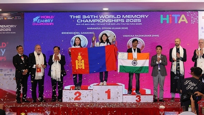 سی و چهارمین دوره مسابقات جهانی حافظه: ویتنام، متشکرم!