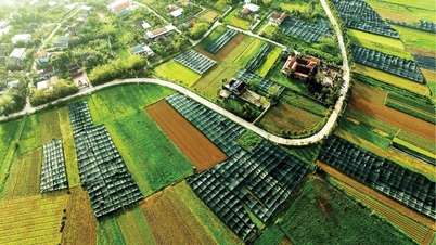 Kim Tra achieves breakthrough in poverty reduction.