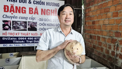 The effectiveness of raising bamboo rats and civets in border areas.