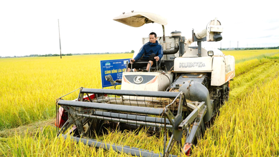 Businesses are moving towards green and sustainable agriculture.