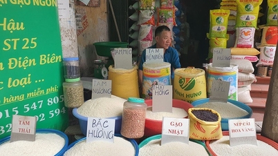 Prețurile orezului din Vietnam scad brusc, deoarece cea mai mare piață oprește temporar importurile.