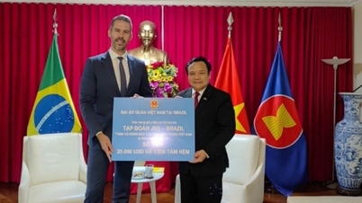 មិត្តភក្តិ និងដៃគូប្រេស៊ីល ដាក់ពង្រាយជំនួយសង្គ្រោះបន្ទាន់ទៅកាន់ភាគកណ្តាលប្រទេសវៀតណាម។