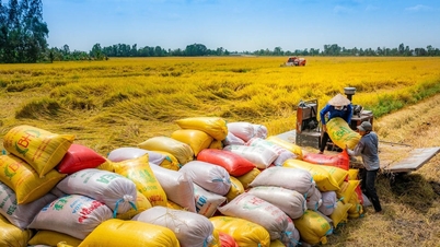 Ministerstvo zemědělství a životního prostředí: Vyzývá japonské firmy k investicím do zemědělského sektoru.