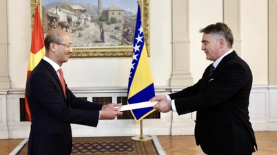 Bosnia and Herzegovina appreciates Vietnam's growing position.