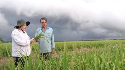 เกษตรกรรมไฮเทค - ก้าวเข้าสู่ยุคใหม่ด้วยความมั่นใจ