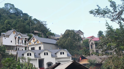 Street in the forest