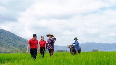 Агробанк: ключовий гравець у сприянні потокам капіталу з низьким рівнем викидів.