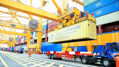 Haiphongs hamn välkomnar 2 miljoner TEU under hela året – en historisk milstolpe i dess 150-åriga utvecklingsresa