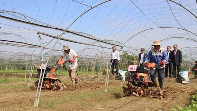 ស្ពានមួយដើម្បីគាំទ្រដល់សហករណ៍។