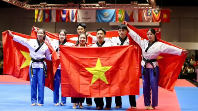 Ho Chi Minh City Taekwondo błyszczy na Igrzyskach Azji Południowo-Wschodniej 33