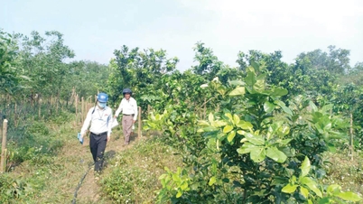 Chậm giải phóng mặt bằng mỏ đá vôi Phong Xuân