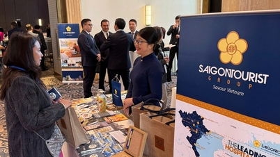 With tourism recovering, how are the big players like Saigontourist and Vietravel doing business?