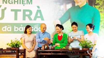 Wiederbelebung des kulturellen Raums des Tees