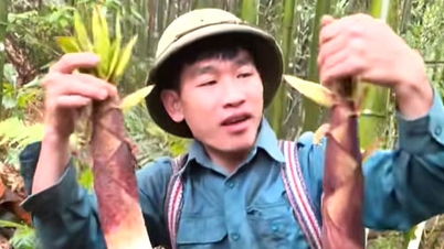 Gathering the first fruits of the forest in the season.