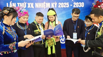 Beautiful, fragrant flowers adorn the grand festival of Lang Son's youth.