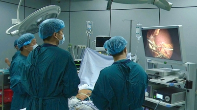 Updates on advances in surgery and treatment for stomach cancer.